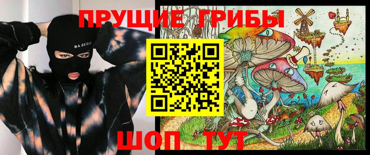 Галлюциногенные грибы Psilocybe Апрелевка